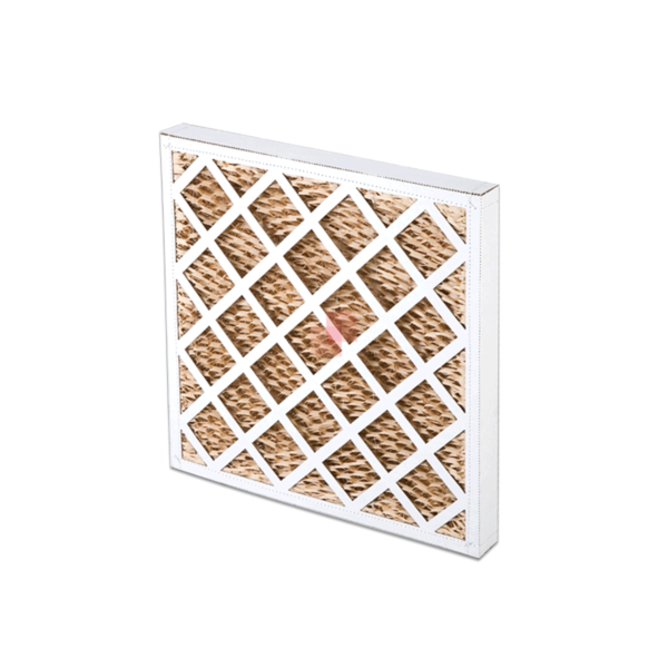 Filtro cella carta